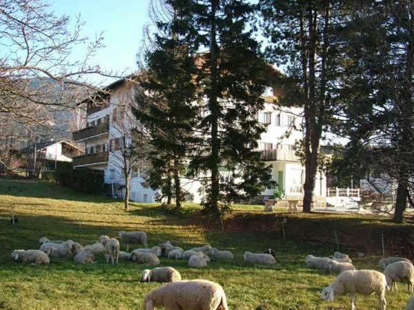 Hotel Due Pini Базельга-ди-Пине Экстерьер фото